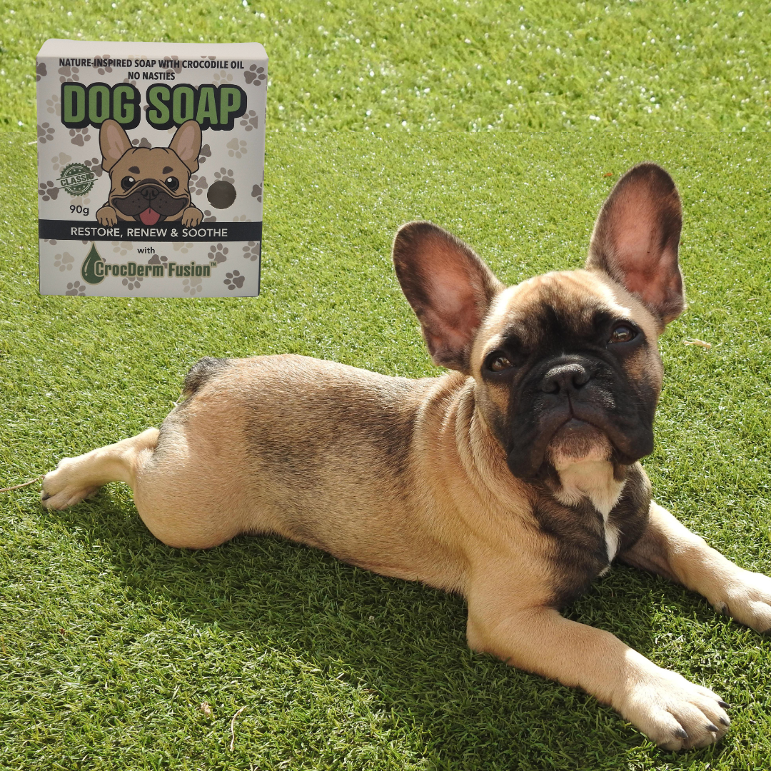 Dog Soap - Restore & Renew