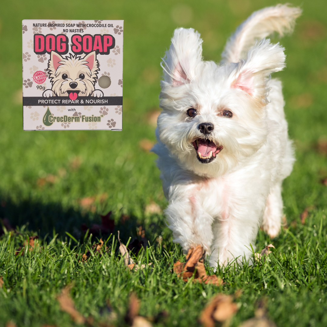 Dog Soap - Protect
